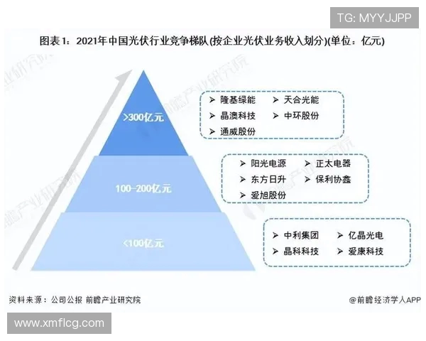 法甲外援市场潜力深度评估与投资价值研究
